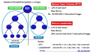 Bonus Team Volume