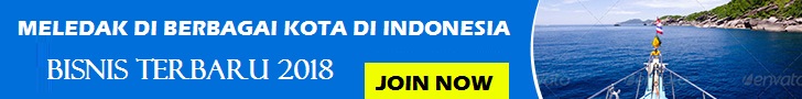 peluang bisnis joybiz